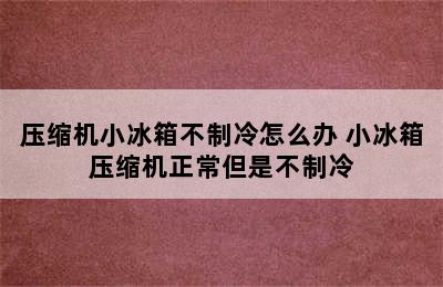 压缩机小冰箱不制冷怎么办 小冰箱压缩机正常但是不制冷